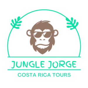 Jungle Jorge Costa Rica Tours