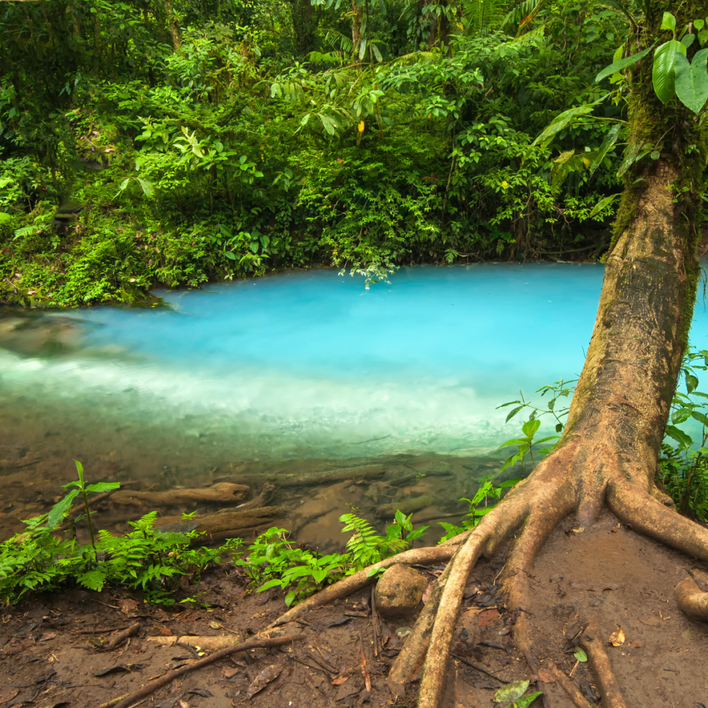 Rio Celeste Sloth Tour & Horseback Riding