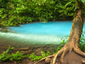 Rio Celeste Adventure Package (half day) - Image 4